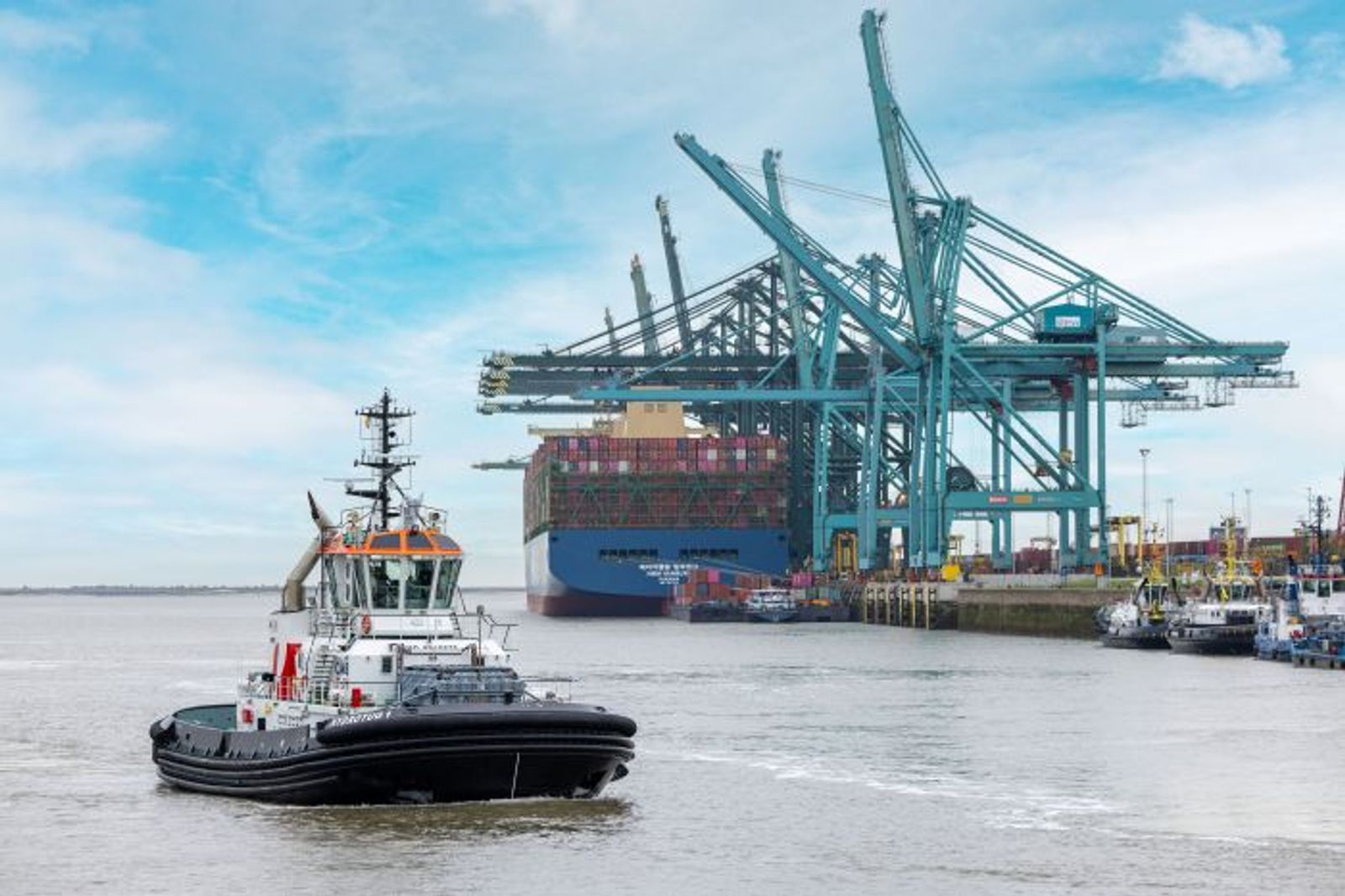 Antwerp H1 volume falls as disruption, falling exports weigh on throughput