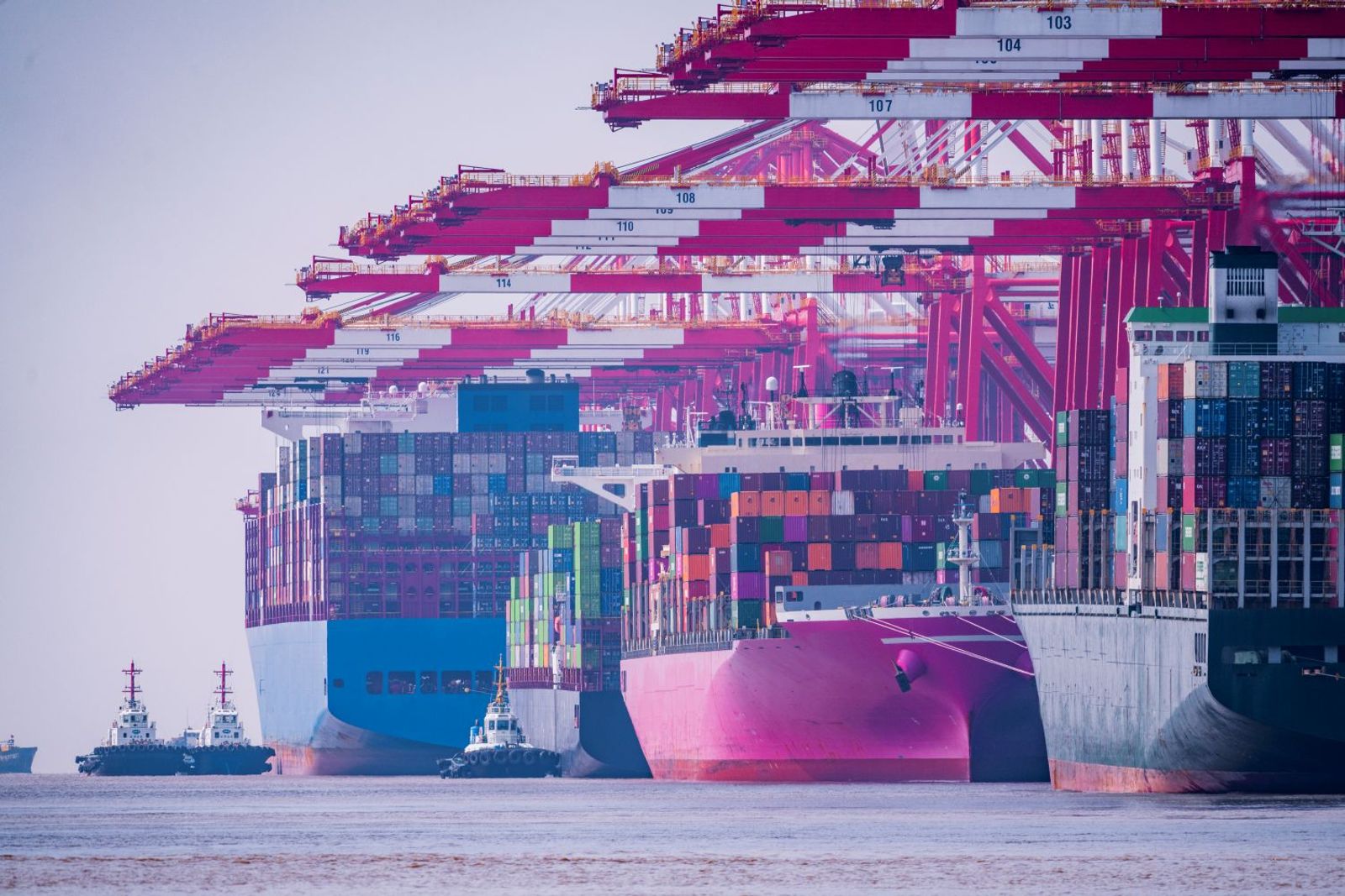 Vessel delays worsen at key Chinese ports after typhoon moves through